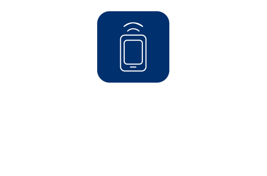 Remote Vehicle Control