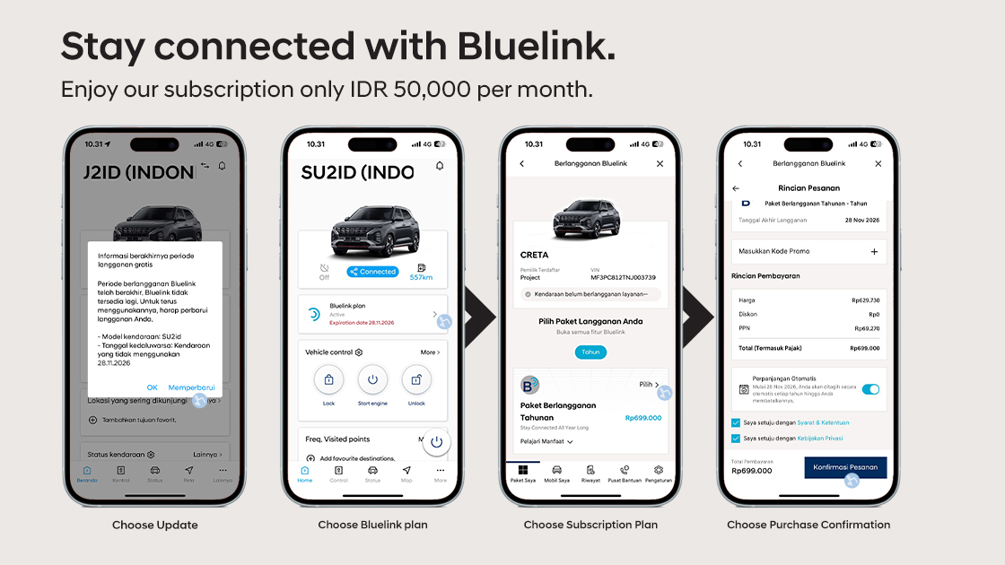 bluelink subscription