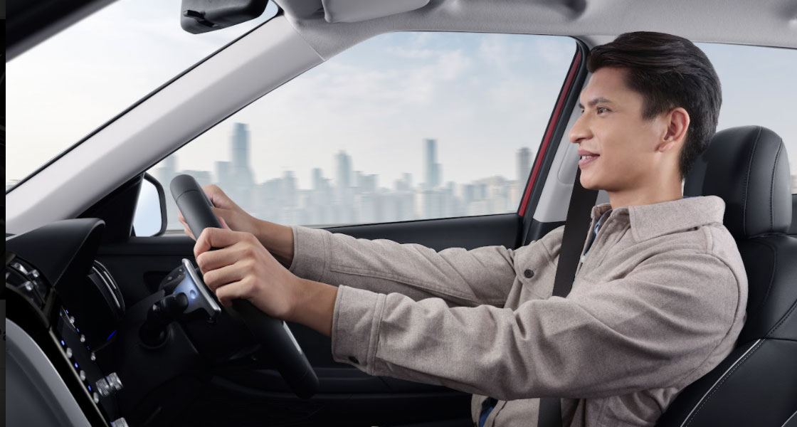 convenience palisade