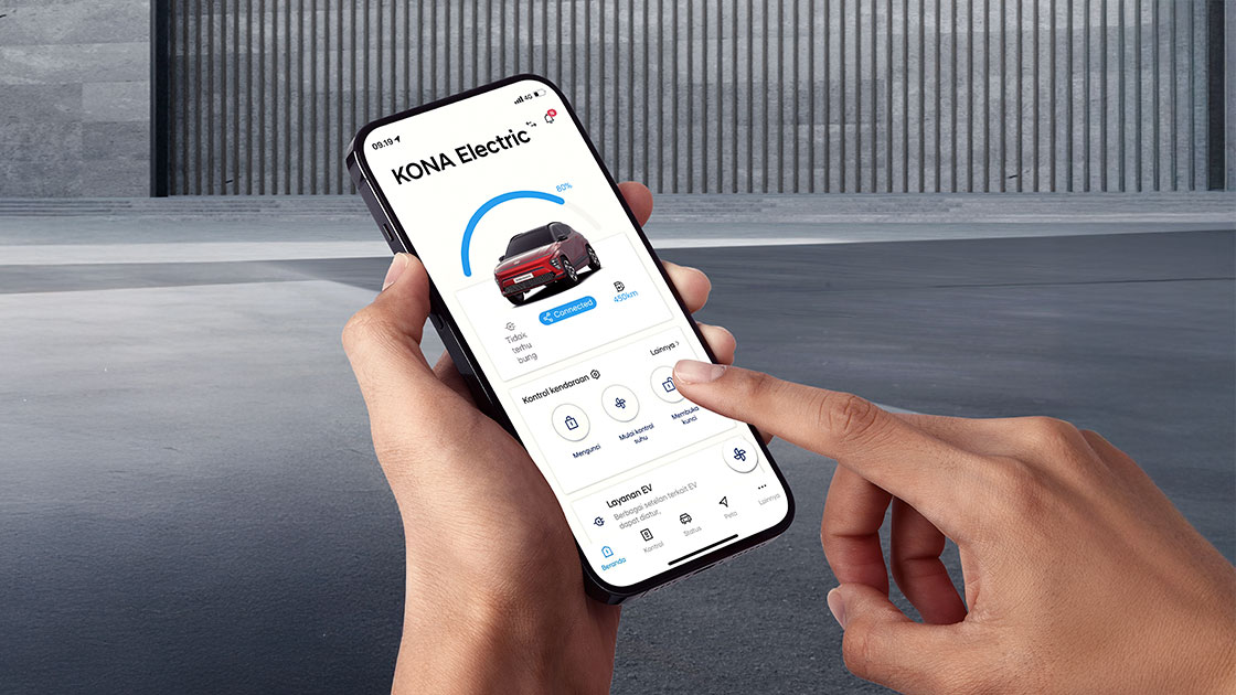 Bluelink