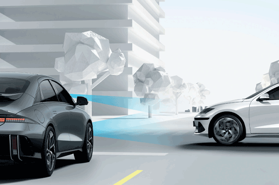 Surround View Monitor (SVM)