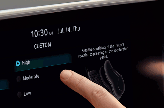 EV Performance tune up