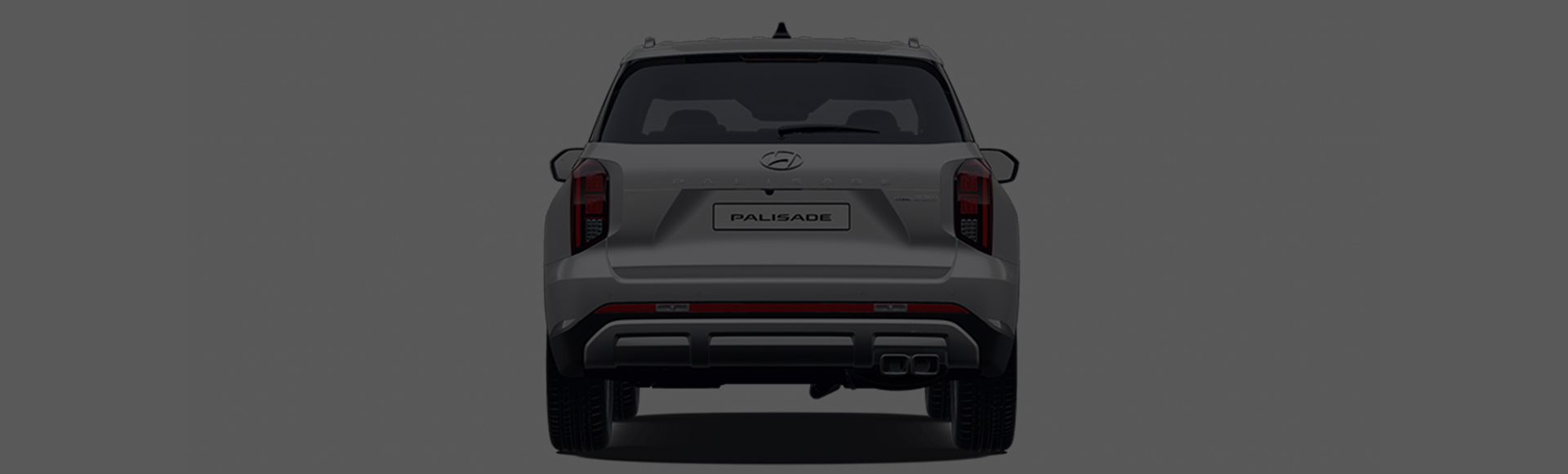 Palisade rear design