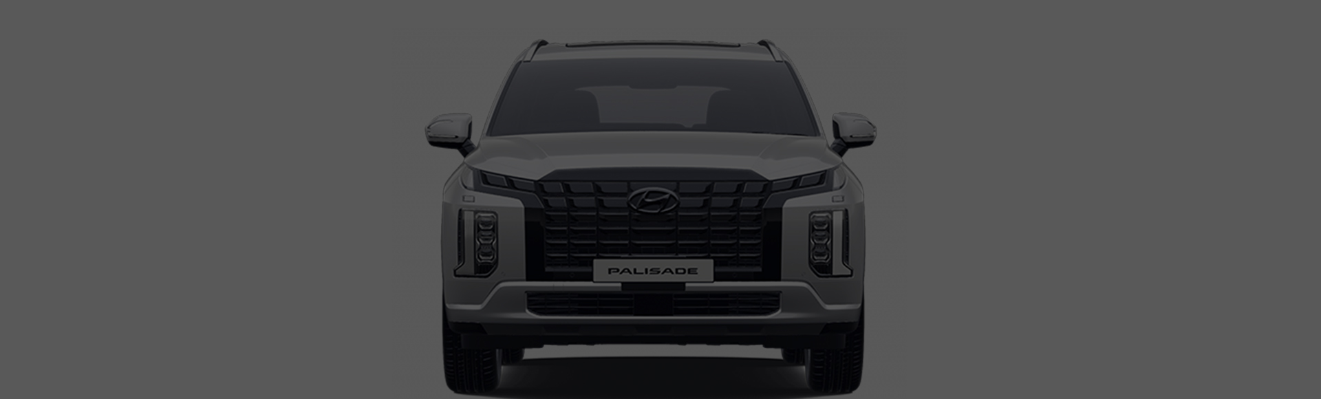 Palisade exterior front design