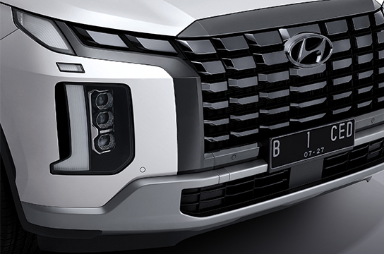 Exterior Dark chrome grille