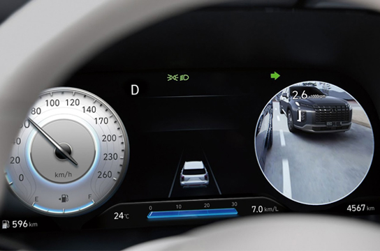 Blind-spot View Monitor (BVM)