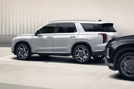 Safe Exit Assist (SEA)