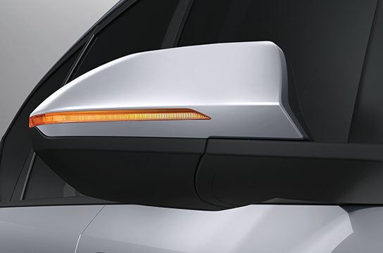 Outside Rear View Mirror with Turn Signal 