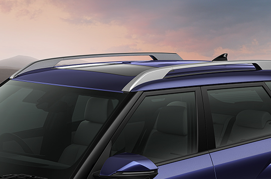 Bridge Type Roof rails