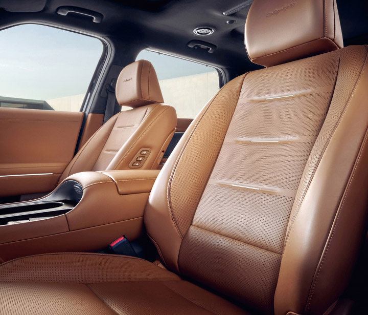 Close up of the front-row seat