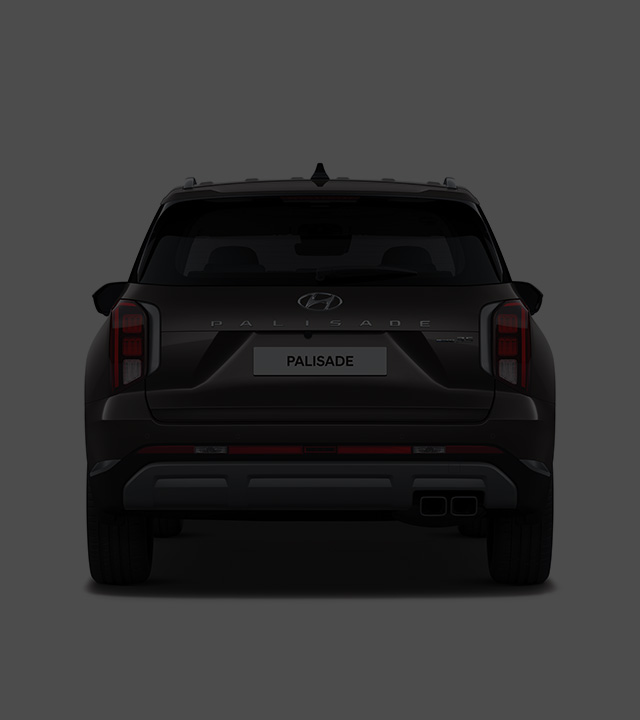 Palisade rear design