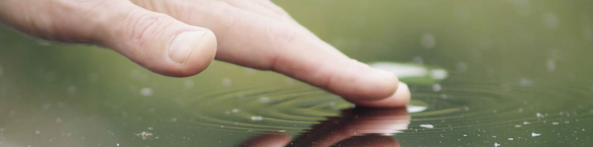 David de Rothschild touching the surface of a pool of water.