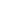 magnifying glass icon