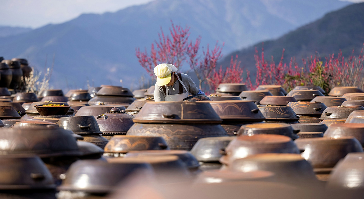 Kimchi: A Korean Culinary Triumph