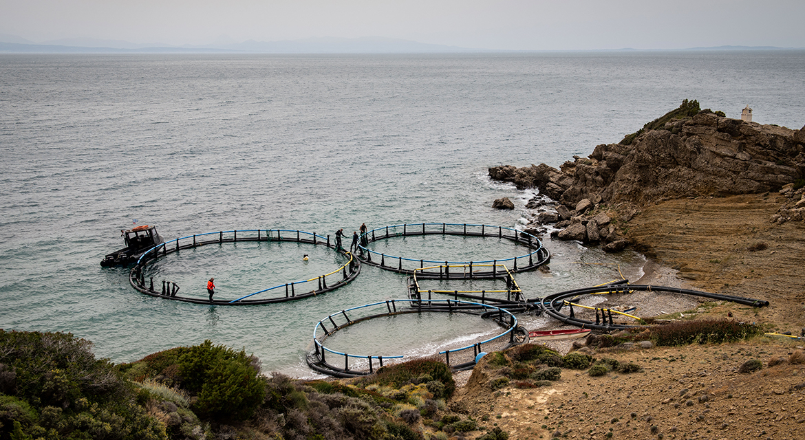 Credits_Cor Kuyvenhoven