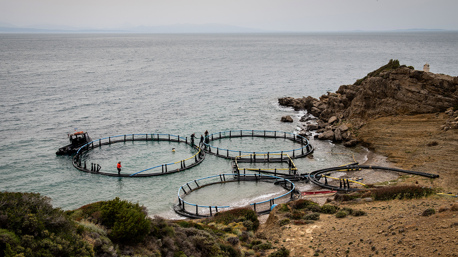 Photo Credit: @Volunteer Divers of Ghost Diving Group