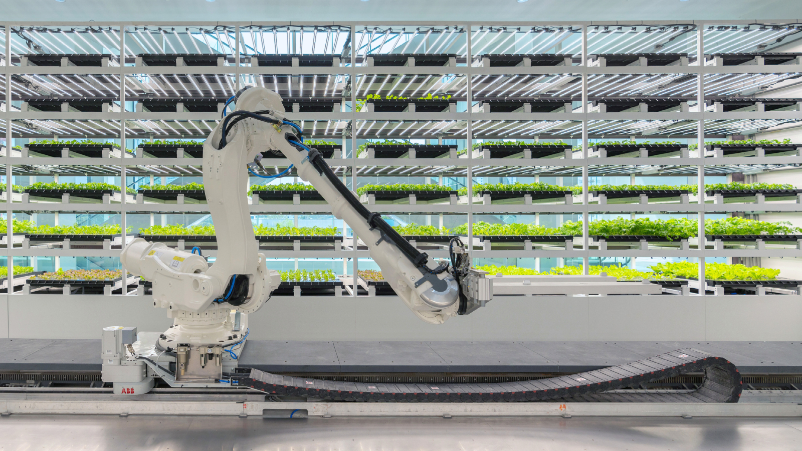 HMGICS has been awarded Gold for ‘Best PR Campaign: F&B’ at PR Awards 2025 in recognition of communications campaign for Na Oh, led by chef Corey Lee