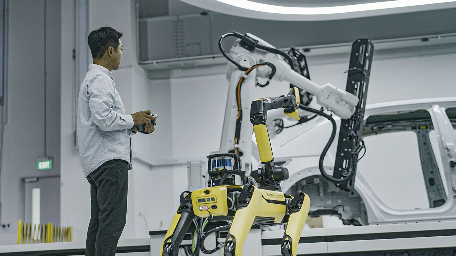 a quadruped (four-legged) robot