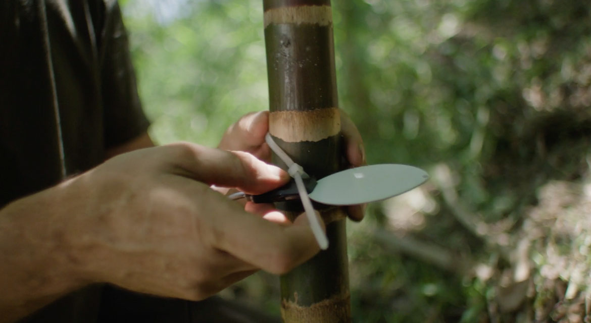 Hyundai Motor's brand campaign, Tree Correspondents