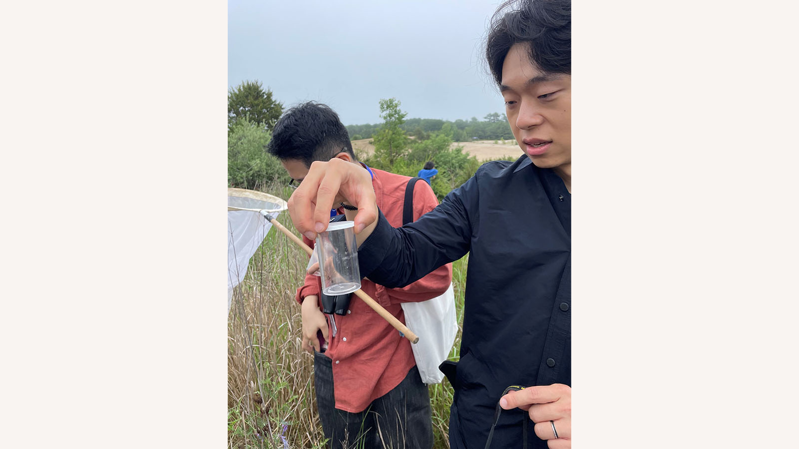 The Regeneration Studio