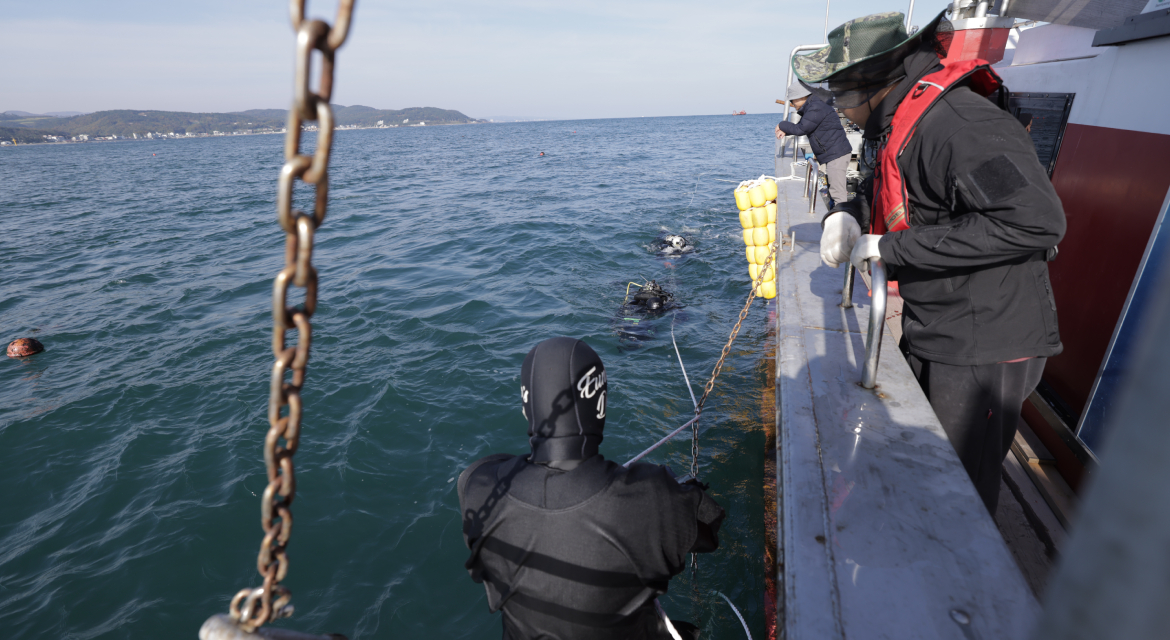 Hyundai Motor has been restoring seaweed forests in Ulsan since 2024 under agreements with Korea's Ministry of Oceans and Fisheries, the Korea Fisheries Resources Agency and Ulsan Metropolitan City