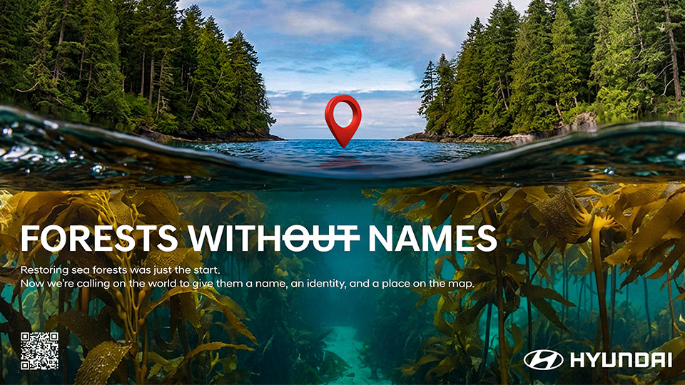 Hyundai Launches ‘Forests Without Names’ Campaign